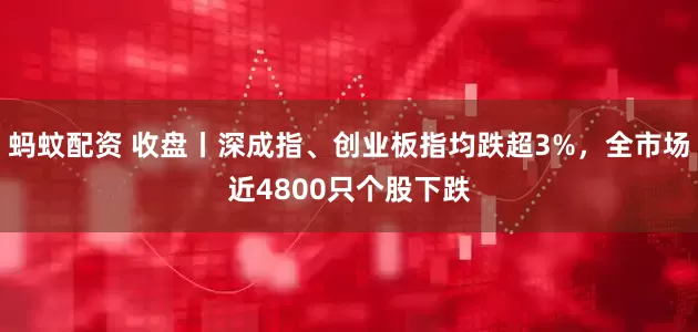 蚂蚊配资 收盘丨深成指、创业板指均跌超3%，全市场近4800只个股下跌